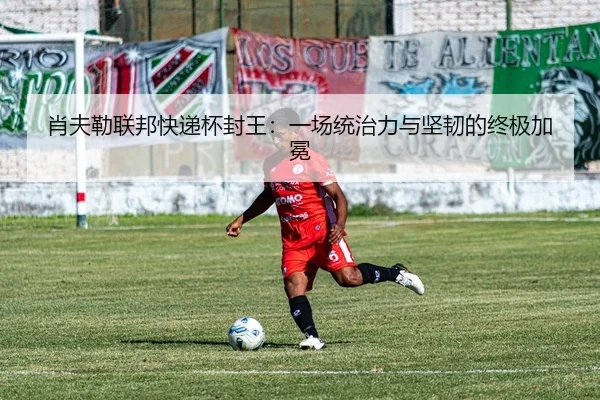 肖夫勒联邦快递杯封王：一场统治力与坚韧的终极加冕
